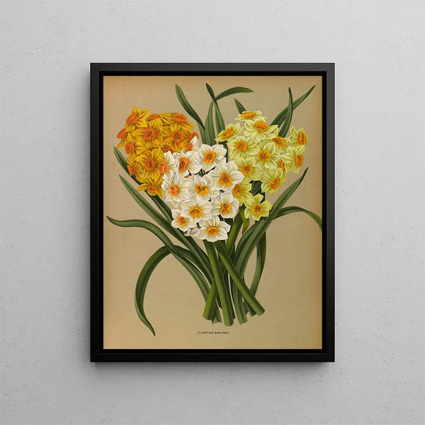 Narcisse Polyanthus - Arentina Hendrica Arendsen — inramlat konstverk på väggen