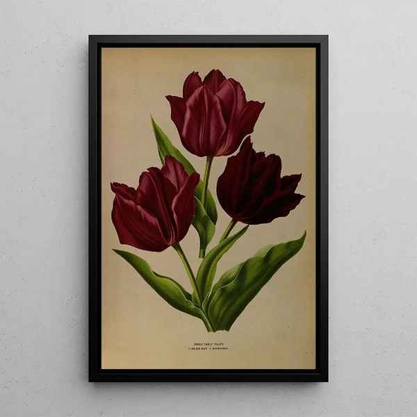 Reproduktion av målningen Tulipes simples précoces Van Der Neer Wouwerman - Arentina Hendrica Arendsen