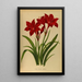 Reproduktion av målningen Vallota förlila amaryllis - Arentina Hendrica Arendsen