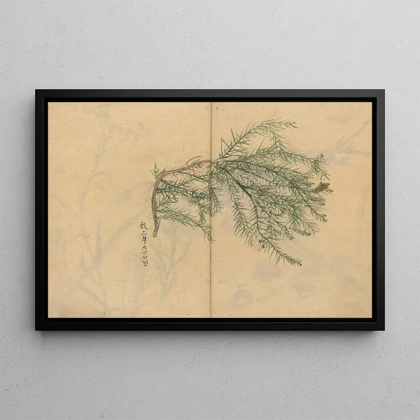 Ariyoshi Kondo - Sketchbook Pl003.webp