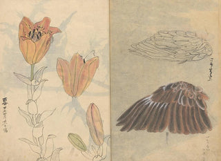 Ariyoshi Kondo - Sketchbook Pl004.webp
