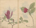 Carnet de croquis Pl008 - Ariyoshi Kondo — vy av konstverket