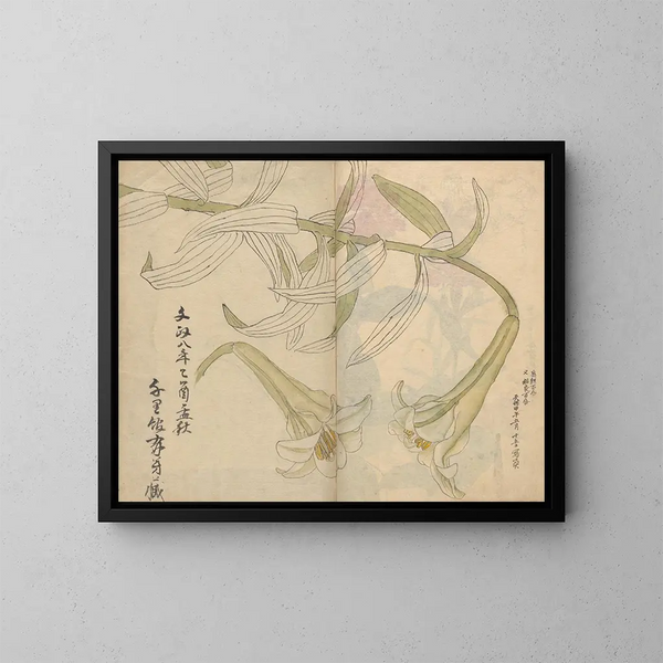 Skissbok Pl012 - Ariyoshi Kondo — inramlat konstverk på väggen