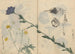 Skissbok Pl013 - Ariyoshi Kondo — vy av konstverket