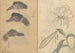 Skissbok Pl014 - Ariyoshi Kondo — vy av konstverket