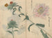Skissbok Pl019 - Ariyoshi Kondo — vy av konstverket