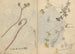 Carnet de Croquis Pl026 - Ariyoshi Kondo — vy av konstverket