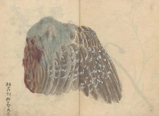Ariyoshi Kondo - Sketchbook Pl039.webp