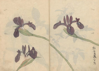 Ariyoshi Kondo - Sketchbook Pl043.webp