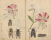 Carnet de croquis Pl044 - Ariyoshi Kondo — vy av konstverket