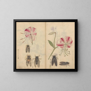 Ariyoshi Kondo - Sketchbook Pl044.webp