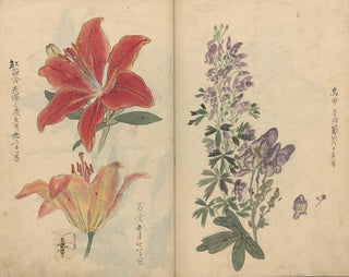 Ariyoshi Kondo - Sketchbook Pl046.webp