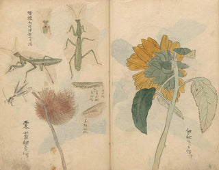 Ariyoshi Kondo - Sketchbook Pl048.webp
