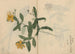 Skissbok Pl052 - Ariyoshi Kondo — vy av konstverket