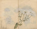 Skissbok Pl063 - Ariyoshi Kondo — vy av konstverket