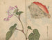 Carnet de croquis Pl066 - Ariyoshi Kondo — vy av konstverket