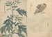 Carnet de croquis Pl070 - Ariyoshi Kondo — vy av konstverket