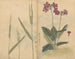 Carnet de croquis Pl073 - Ariyoshi Kondo — vy av konstverket