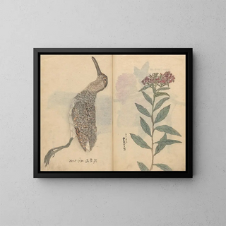 Ariyoshi Kondo - Sketchbook Pl074.webp