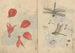 Carnet de croquis Pl076 - Ariyoshi Kondo — vy av konstverket