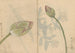 Carnet de Croquis Pl078 - Ariyoshi Kondo — vy av konstverket