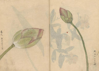 Ariyoshi Kondo - Sketchbook Pl078.webp