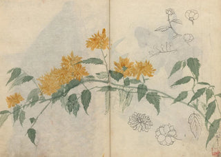 Ariyoshi Kondo - Sketchbook Pl080.webp