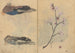 Carnet de croquis Pl086 - Ariyoshi Kondo — vy av konstverket