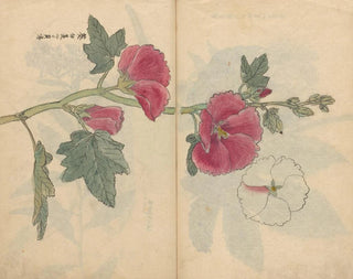 Ariyoshi Kondo - Sketchbook Pl097.webp