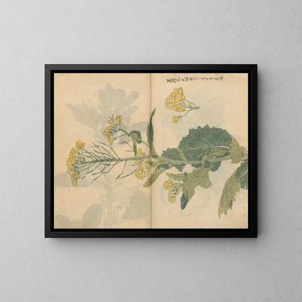 Skissbok Pl099 - Ariyoshi Kondo — inramlat konstverk på väggen