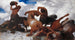 Bataille du Centaure - Arnold Böcklin — vy av konstverket