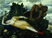 Diane som sover, bevakad av två satyrer - Arnold Böcklin — vy av konstverket