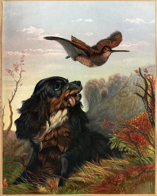Arthur Fitzwilliam Tait - Cocker and Woodcock.webp