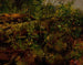 Studie efter naturen - Arthur Fitzwilliam Tait — vy av konstverket