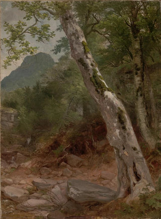 Asher Brown Durand - A Sycamore Tree Plaaterkill Clove The Sycamore Kaaterskill Clove.webp