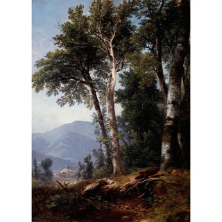 Asher Brown Durand - Woodland Landscape.webp