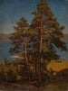 Pins - August Cappelen — vy av konstverket
