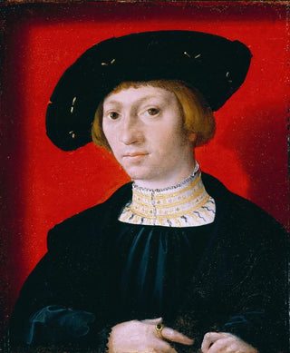 Bernard van Orley - A Young Man.webp
