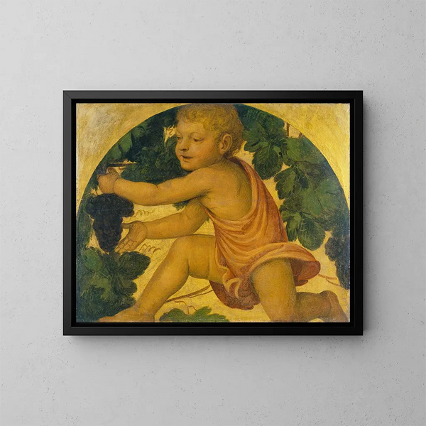 Putto som plockar druvor - Bernardino Luini — inramlat konstverk på väggen