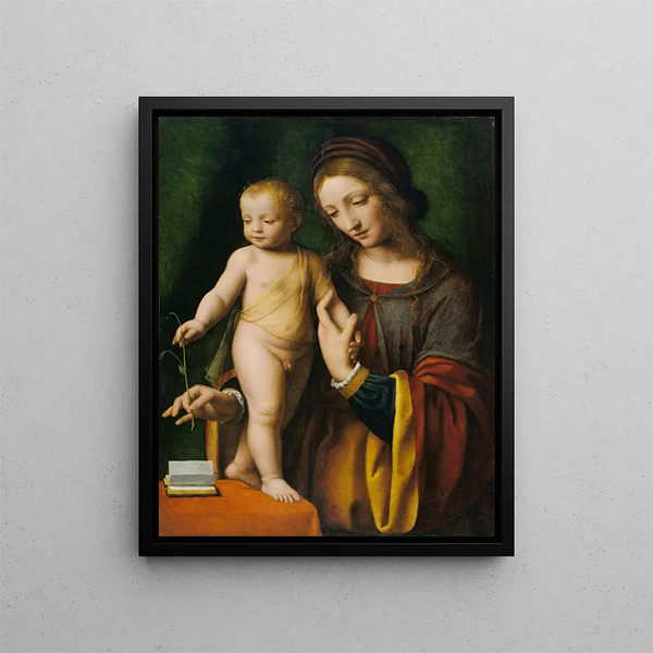La Vierge à l'Enfant avec une Colombine - Bernardino Luini — inramlat konstverk på väggen