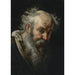 Reproduktion av målningen Tête d'un homme barbu - Bernardo Strozzi