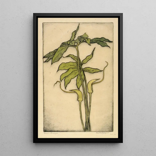 Bertha Jaques - Green Dragon.webp