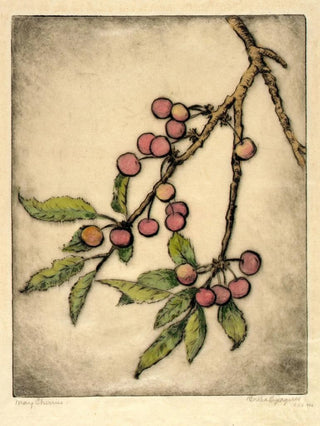 Bertha Jaques - May Cherries.webp