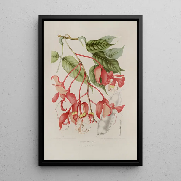 Reproduktion av målningen Blommor, frukter och bladval av Javaön Pl02 - Berthe Hoola van Nooten