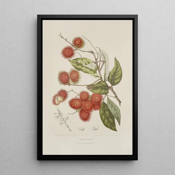 Reproduktion av målningen Blommor, frukter och bladval från Javaön Pl07 - Berthe Hoola van Nooten