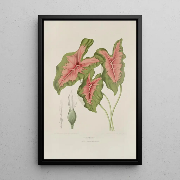 Reproduktion av målningen Blommor, frukter och bladval av Javaön Pl09 - Berthe Hoola van Nooten