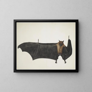 Bhawani Das - Great Indian Fruit Bat.webp