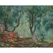 Reproduktion av målningen av olivträd i Moreno-trädgården - Claude Monet