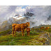 Reproduktion av målningen av Highland-kreatur - Rosa Bonheur