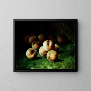 Carducius Plantagenet Ream - Peaches.webp